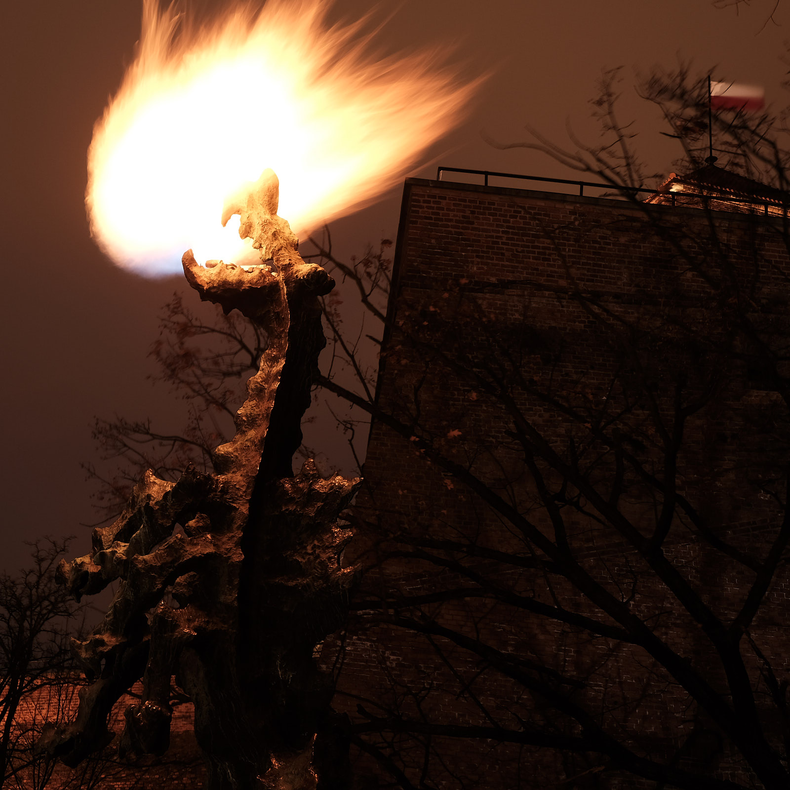 Kraków dragon